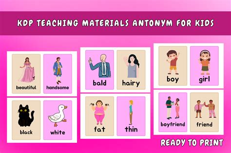 Junior antonyms .